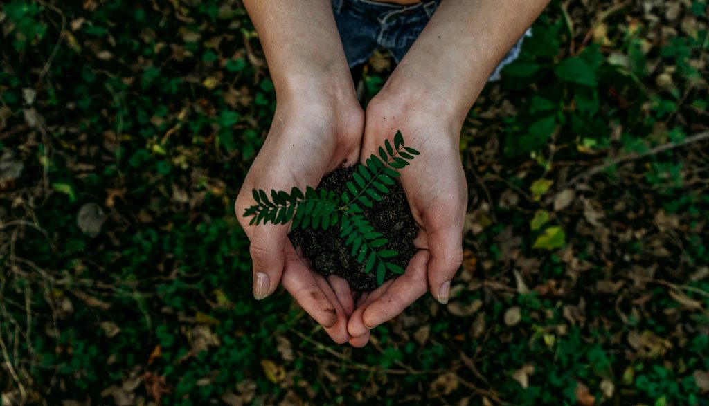 Earth Day 2025